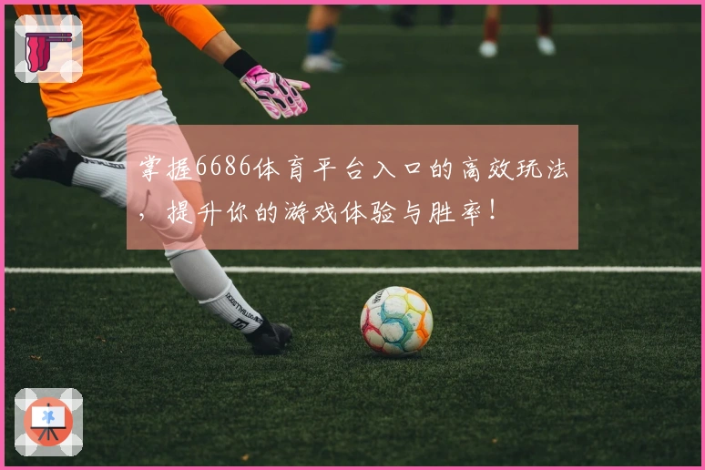 掌握6686体育平台入口的高效玩法，提升你的游戏体验与胜率！