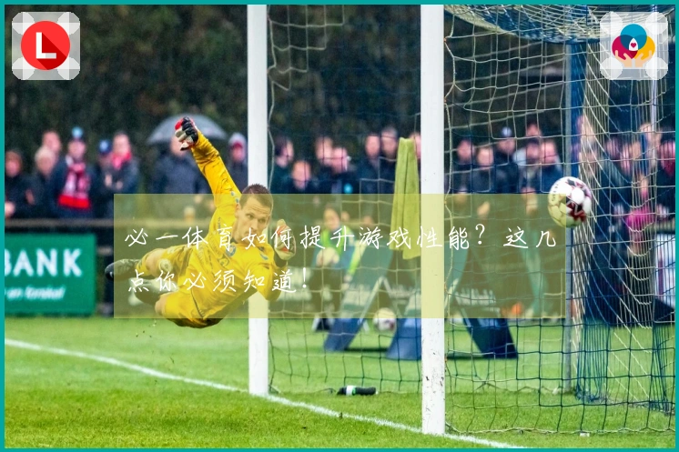 必一体育如何提升游戏性能？这几点你必须知道！