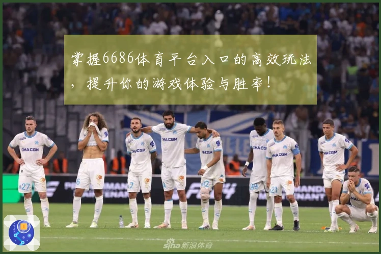 掌握6686体育平台入口的高效玩法，提升你的游戏体验与胜率！