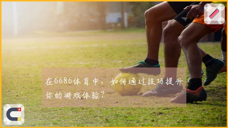 在6686体育中，如何通过技巧提升你的游戏体验？